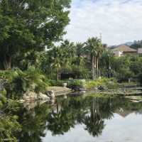 Conghua - The Home of Relaxation 