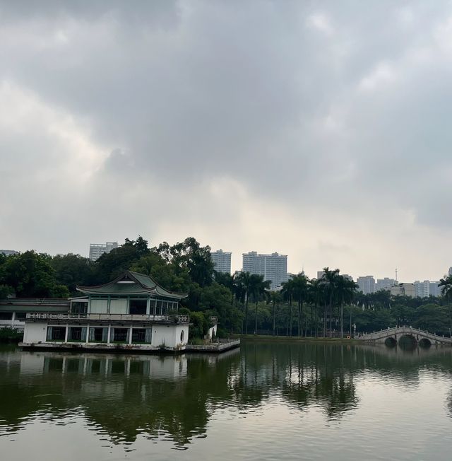 南寧市人民公園|周末相約睡蓮展