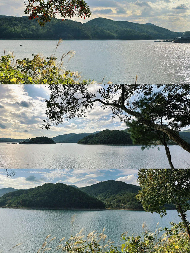 九龍湖的遊玩推薦