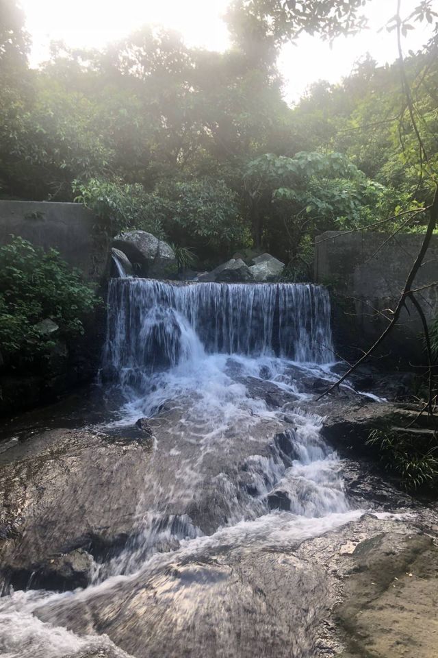 夏天好去處．行山郊遊四大類