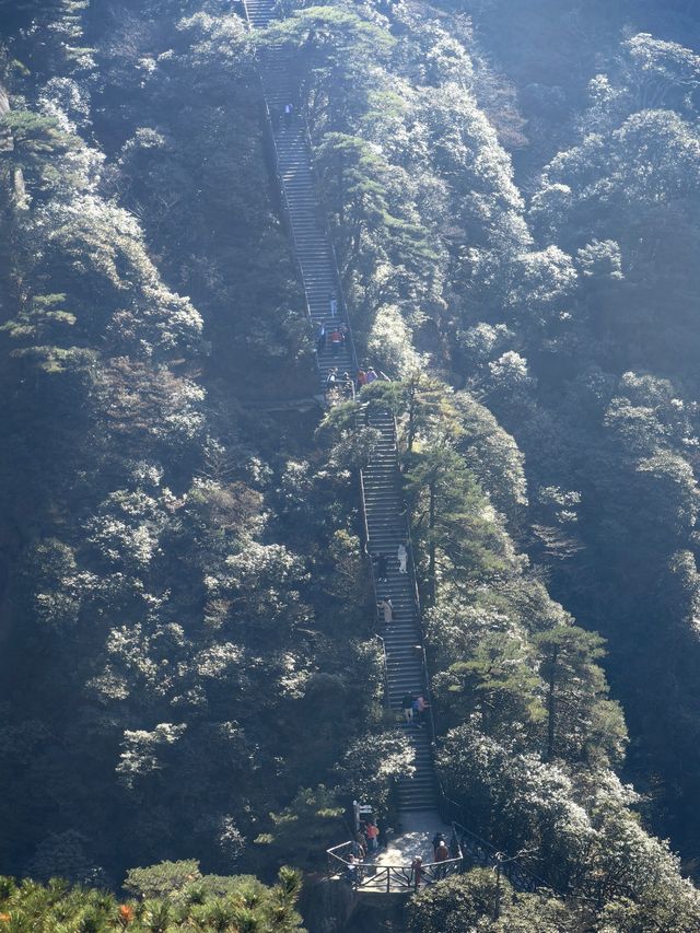 三清山，在14億年花崗岩包圍中的秀美石林