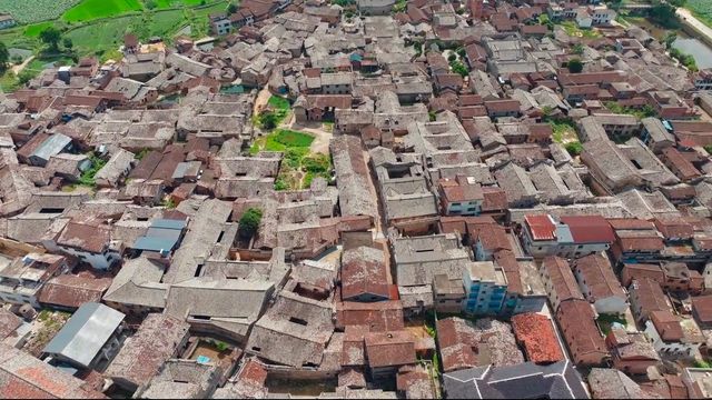 中國蓮花第一村—廣昌