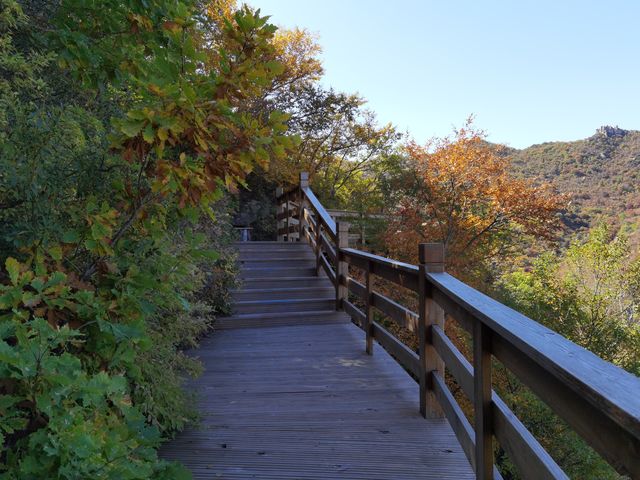 遼寧北票大黑山，蒙遼交界的綠島，秋色醉人