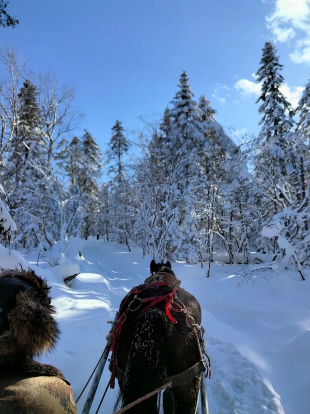 雪國美景，老裡克湖