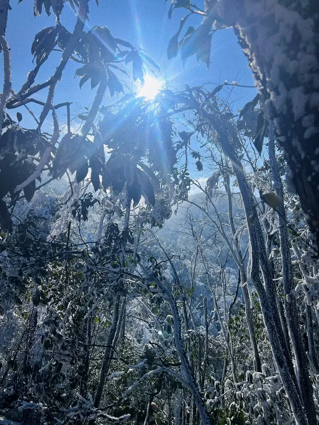 莽山霧凇真的有一種誤入仙境的美！