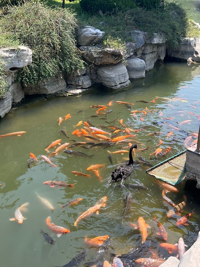 大學生旅行特種兵