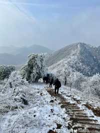 我已把這裡定義為江浙滬霧凇，冰花的天花板