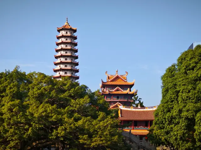 Witness the nature under the thousand-year-old lychee tree---The Zen of Fuzhou Xichan Ancient Temple