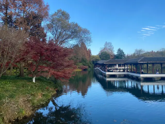 杭州旅遊|西湖的晚秋屬於虎跑公園