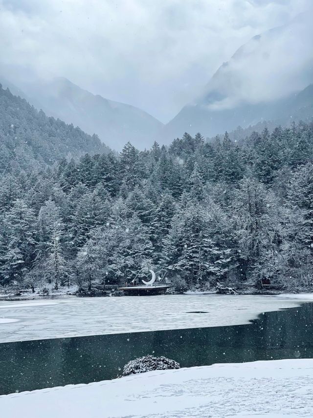 不是新疆去不起而是川西更有性價比