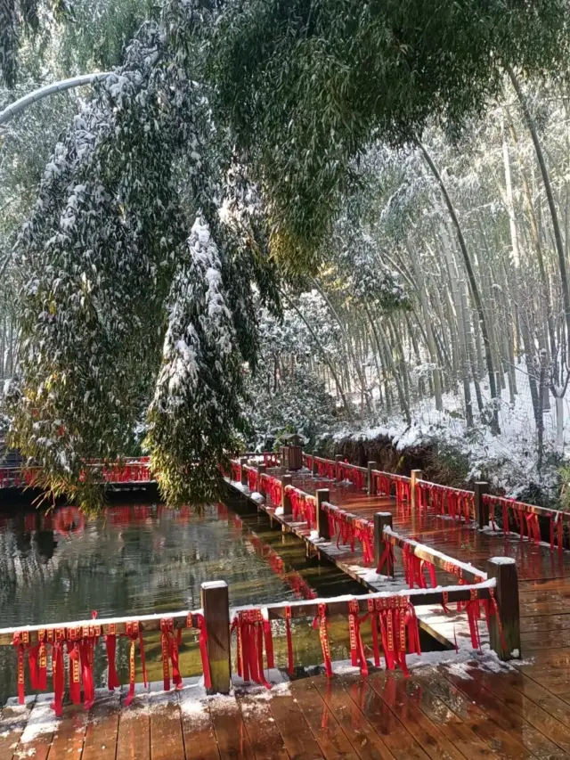 Yixing Bamboo Sea in Wuxi, Jiangsu - Listening to the snow falling at the end of the year, there is pure joy in the world