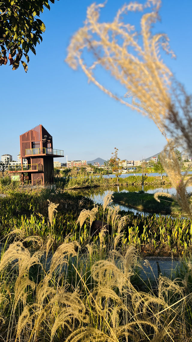 南安打卡·城西濕地公園