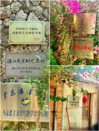 超好看的小海島啊！湛江南極村