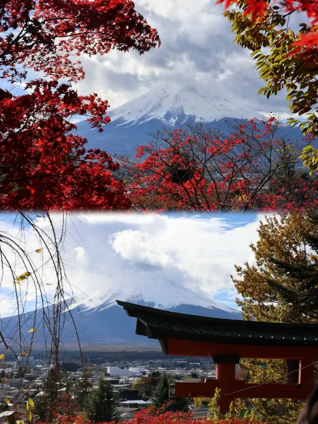 浅間神社紅葉與富士山真是絕配！