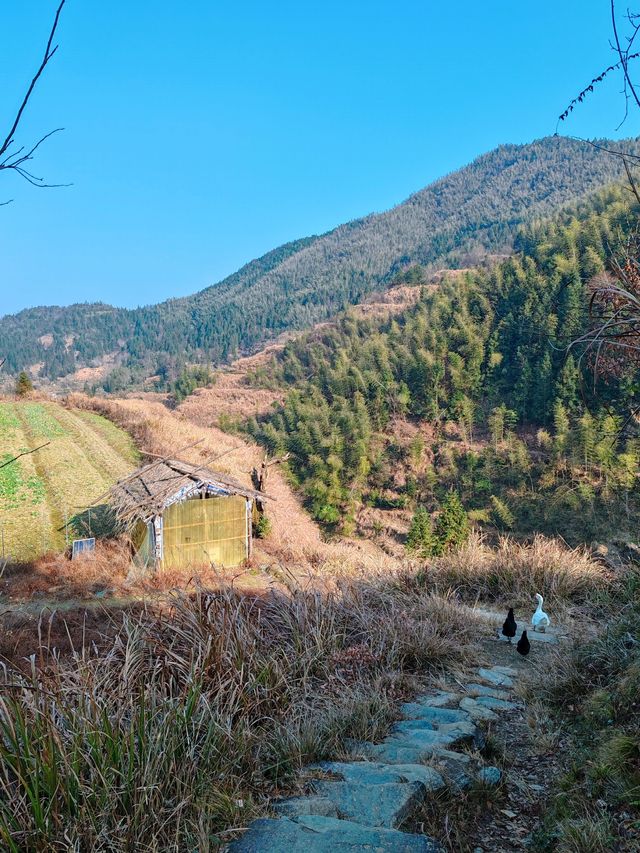 極其小眾旅行地，我們相約雲端上的村落