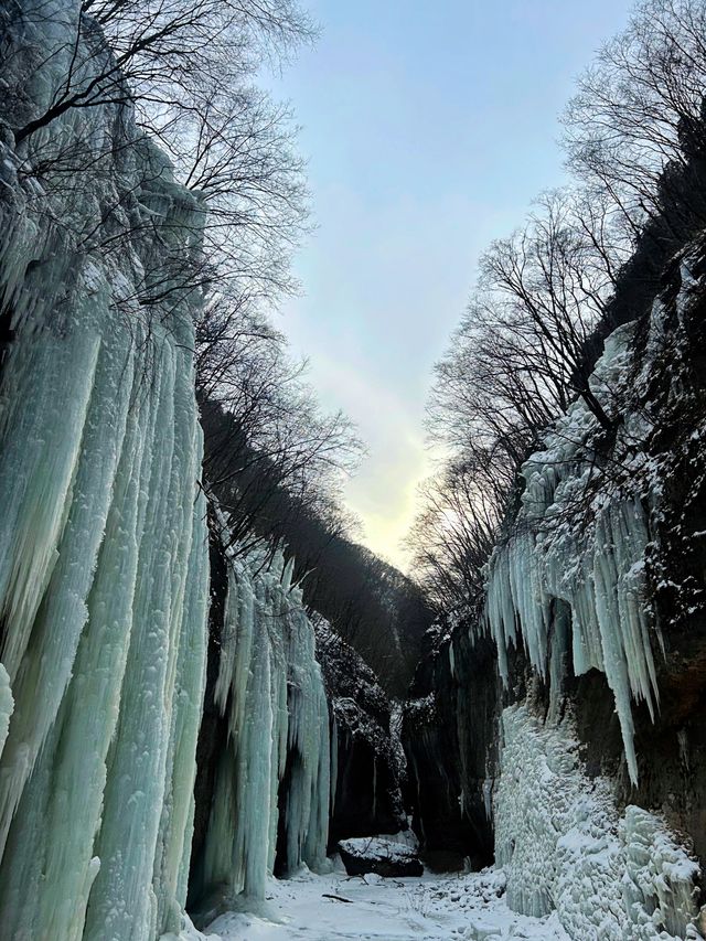 西安出發1小時可達‖冰雪大世界