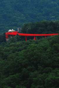 來深圳必打卡絕美公園｜虹橋公園|||