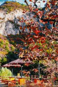 可能是莊裡最輕鬆的賞紅葉方式了定位：平山沕沕水空中畫