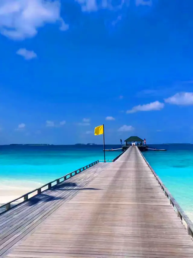 A five-diamond trip to the Maldives, you'll want to go again once you've been!