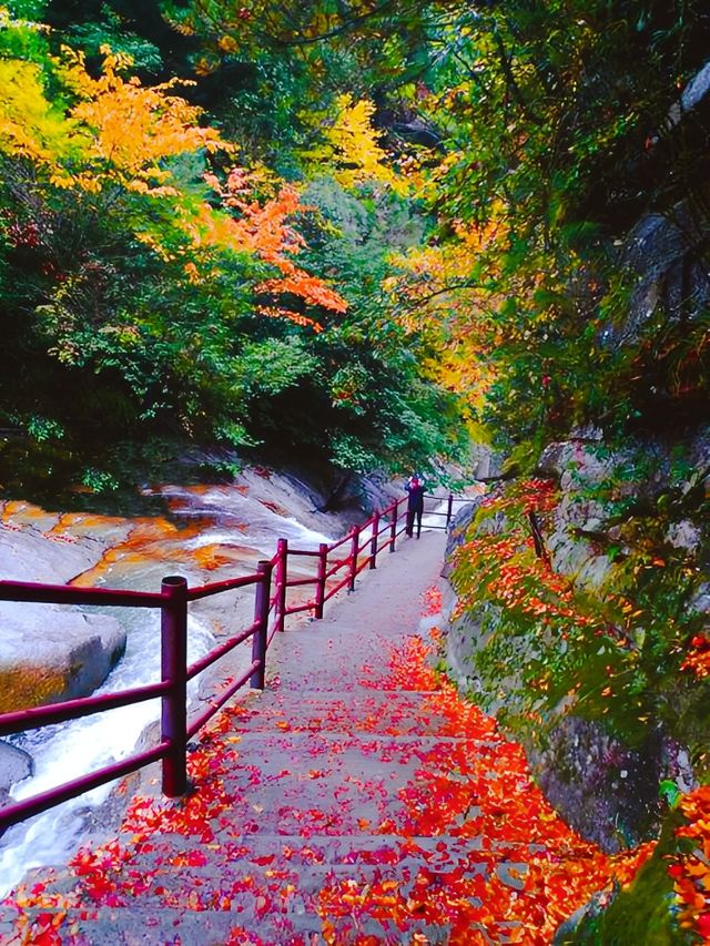 巴蜀光霧山水——有一種脫盡塵埃清澈秀逸的神韻