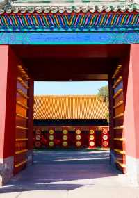 北京賞花地推薦|地壇公園的玉蘭花好美!