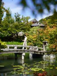 京都市步行永觀堂禪林寺