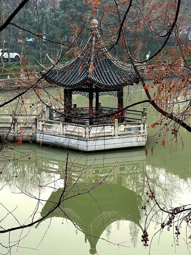 龍年必去，小眾又清幽的園林居然在上海！