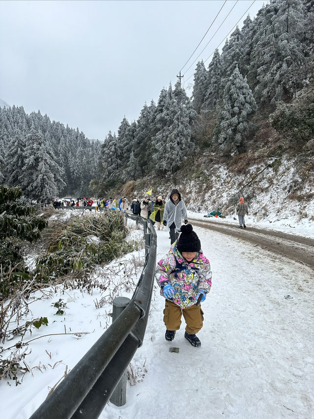 無需遠赴南方小土豆勇闖南國雪鄉攻略