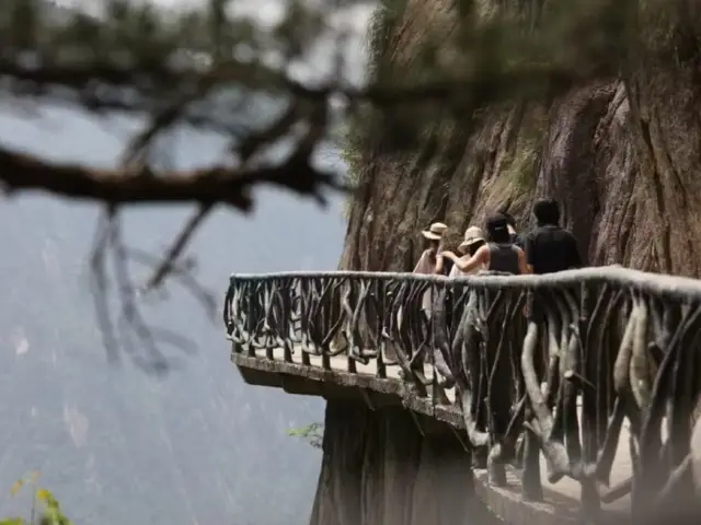 大明山，你值得擁有的旅行體驗！