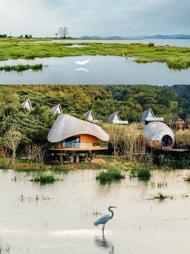 安徽親子民宿！藏在安慶菜子湖畔的候鳥星球