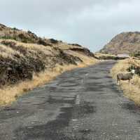 Explore City and Nature in Christchurch!