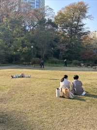 在離開東京前一定要來一次芝公園！