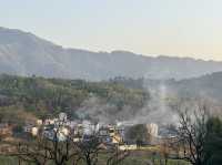 景德鎮-浮樑-上饒-塔川宏村之行