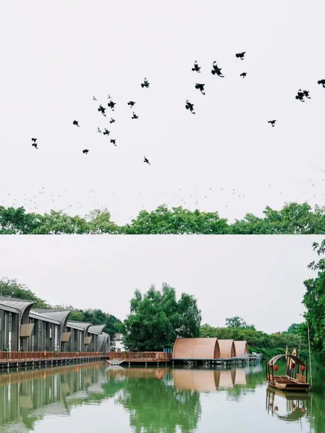 廣州新開!在水一方、藏於濕地公園裡的民宿