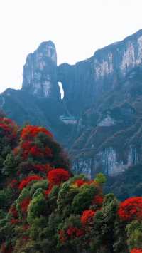 湖南張家界森林公園／以為是傳說，好一個天門山