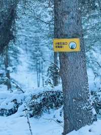 超贊體驗｜阿勒泰地區 · 新疆阿爾泰可可托海滑雪場