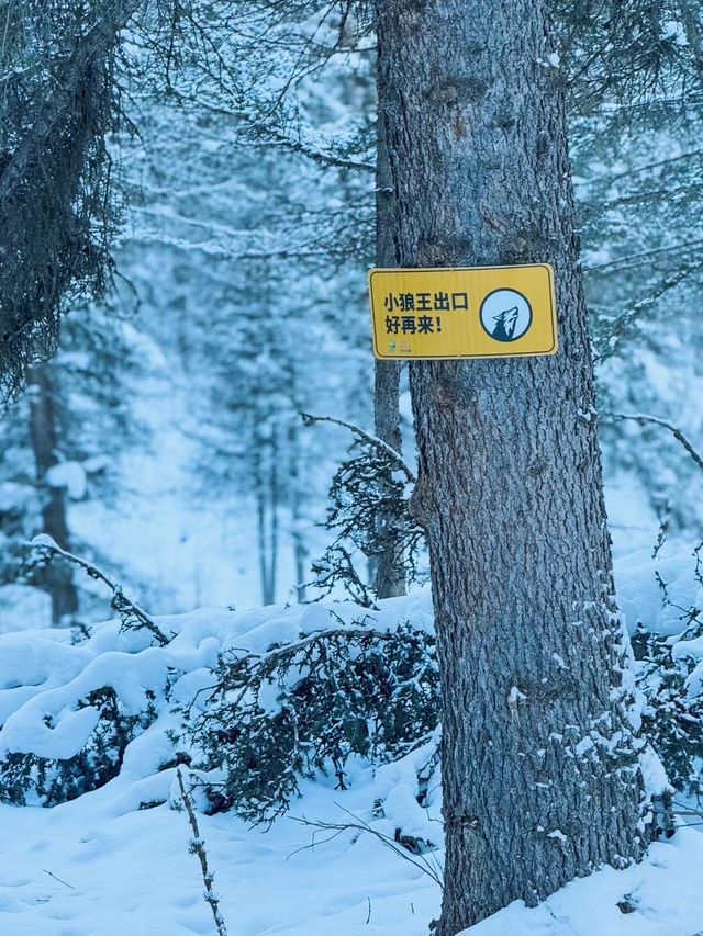 超贊體驗｜阿勒泰地區 · 新疆阿爾泰可可托海滑雪場