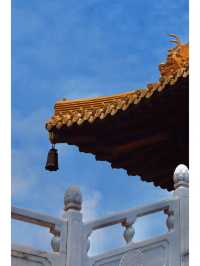 上海繁華鬧市裡最貴的寺廟：靜安寺
