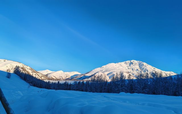 阿勒泰，無庸置疑的國內雪景天花板