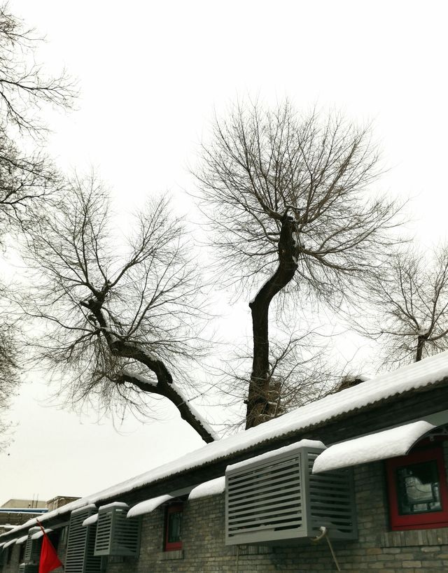 雪後什刹海