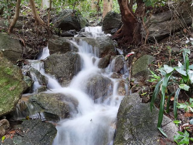 羅浮山飛雲頂，翻山越嶺只為不一樣的風景