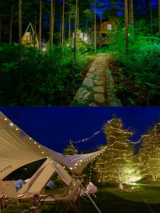 住進森林木屋、睡在空氣宜人的自然裡