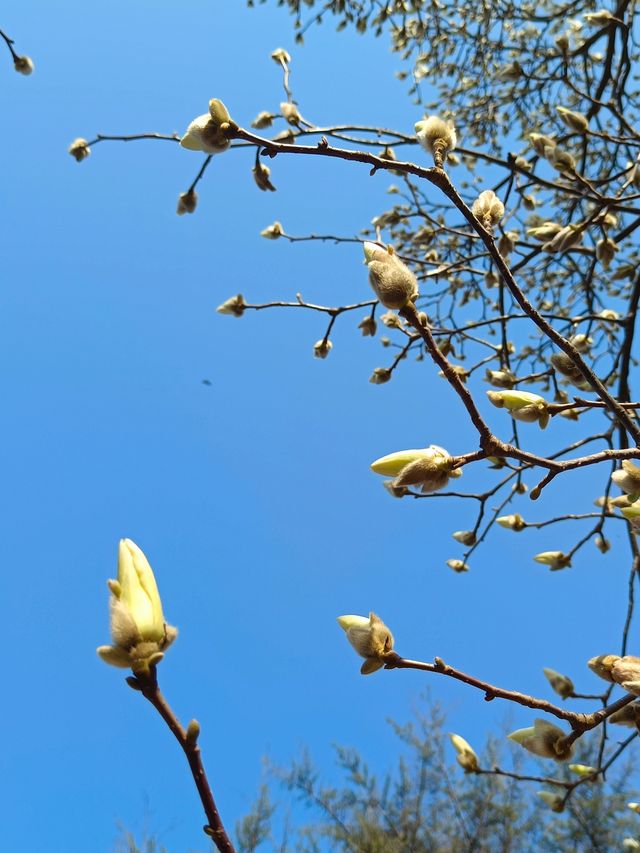 中山公園