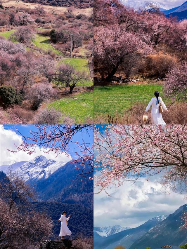 3月林芝，屬於西藏的獨家浪漫