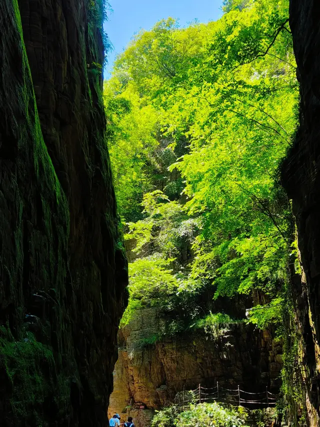 洛陽龍潭大峽谷｜被人遺漏的深山秘境