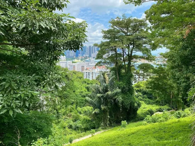 「山水之間的綠色禪意」——花柏山公園