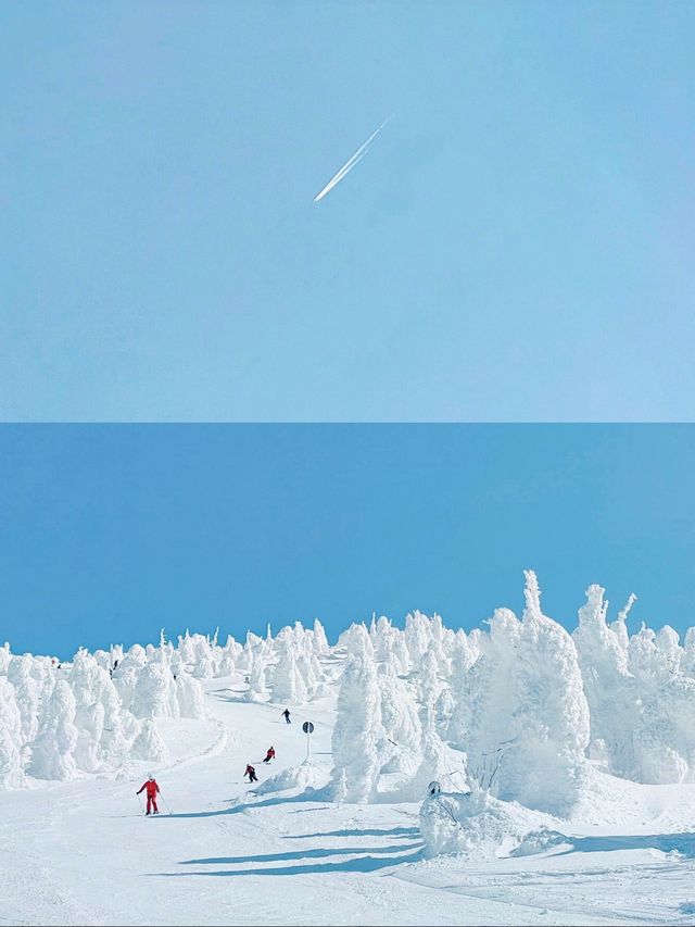 美得不像地球的滑雪場