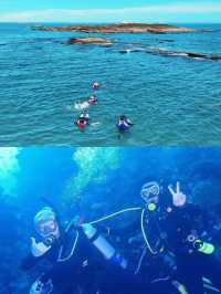 東山島必打卡項目 | 潛水體驗探秘海底世界！