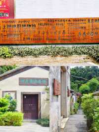 聽說這裡是深圳「小麗江」附避雷指南
