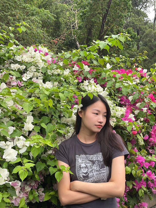 清明節出遊的人潮真是多得驚人！